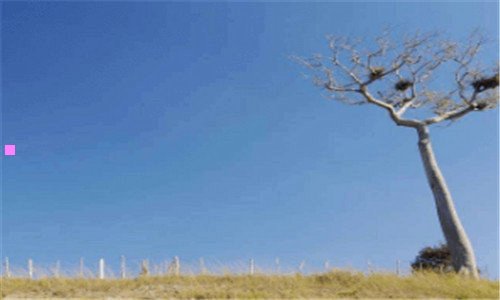 二双立人motion锅好不好