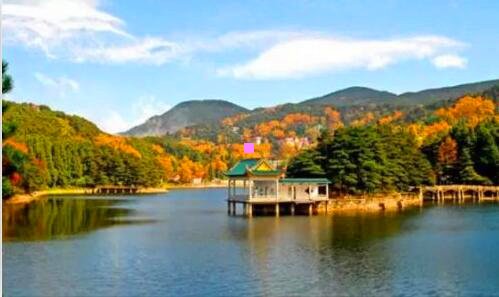 二正装三角领带打法图解