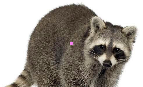 三风水衙门口是什么意思