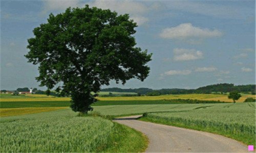 三双肩包什么品牌好