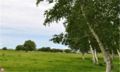 天津人民医院-天津人民医院最牛科室