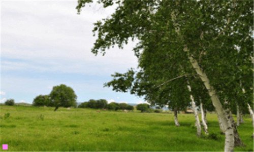 一天津人民医院