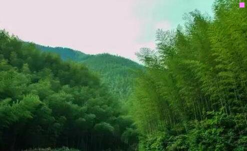 三阿拉尔哪些厂子工资高