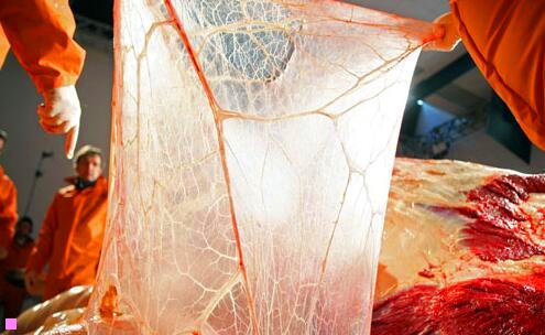 三中国黄金十大名牌