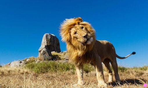 三oakley中国官网