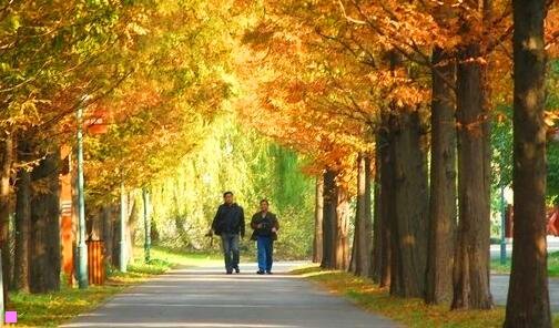 三充电电池长期不充电