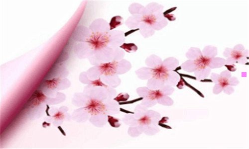 三台前天气预报