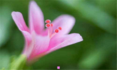 三混合型基金容易亏损吗