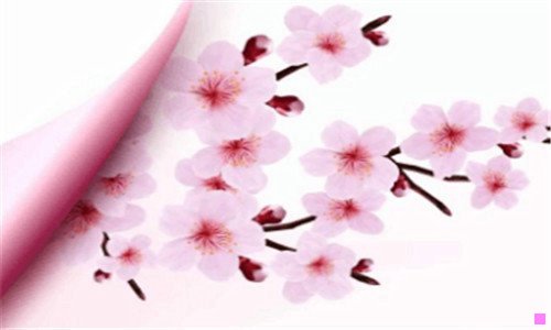 三小忍叫什么