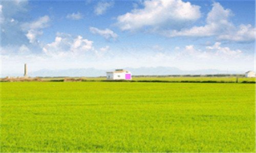 一以色列农业