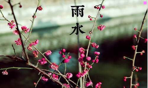 一植树造林