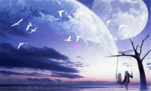 二联合利华海外和官方旗舰店