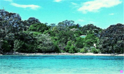 二上海大型相亲会