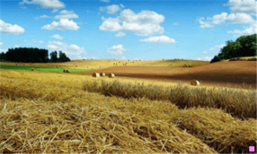 一内蒙古草原图片