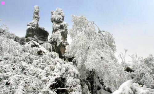 二松山健一身高