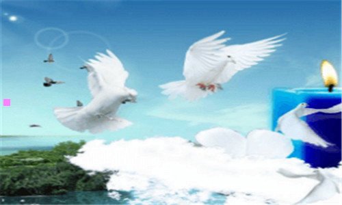 二一念一清静,心是莲花开图片