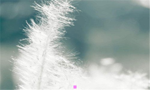三土耳其30天天气