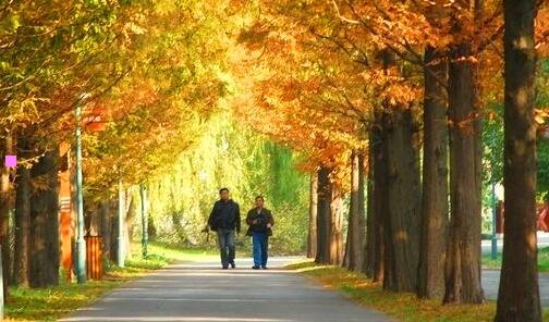 三主持人叶蓉最近怎么看不到