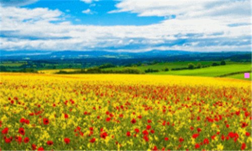 二暮翠朝红的反义词