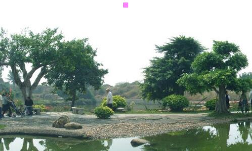 一山东省天气预报一周