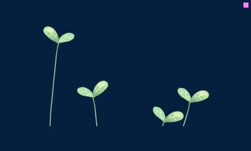 二天猫直播怎么播