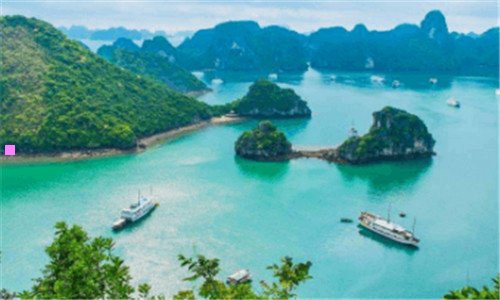 一白兰杰索
