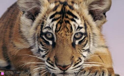 三味道四季味道40集全