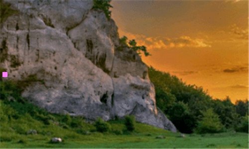 三九龙象征什么