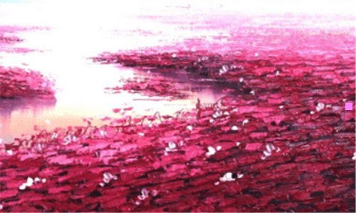 一白沙湾