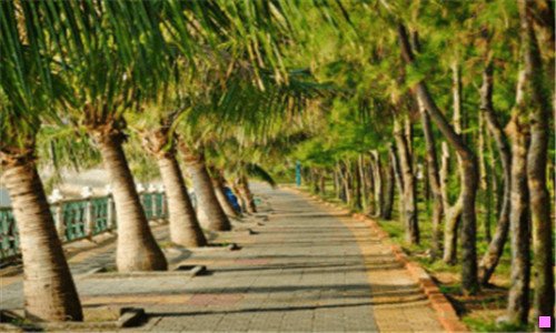 一清迈旅游