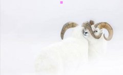 新少年-新少年杂志在线阅读