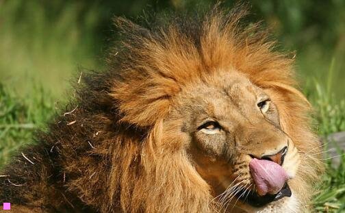 二腾讯在全国有几个总部