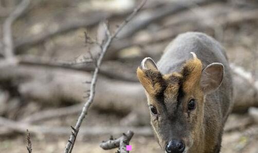 三腾讯总部人工联系电话