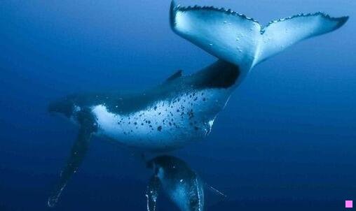 三小黄花鱼咋做好吃