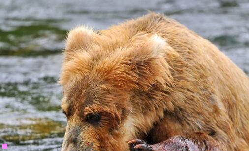 一小黄花鱼的家常做法