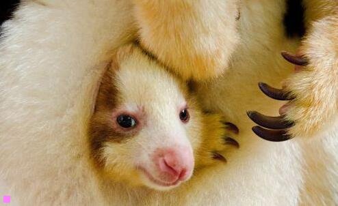 二云南旅游服务中心电话