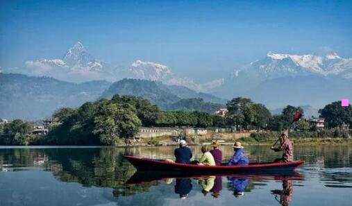 二白星公主为什么这么大