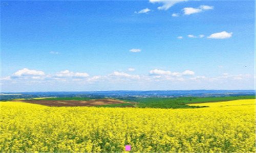 三生化奇兵无限 辱华