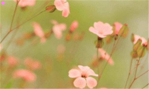 三情人节什么东西大减价