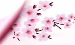 河北移动-中国移动和河北移动一样吗