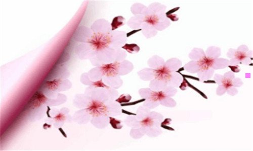 一河北移动