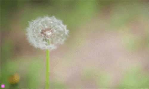 二水门仪式的由来