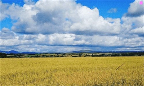 三找日线三买点的步骤