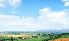 本地高薪职位-上海高薪职位