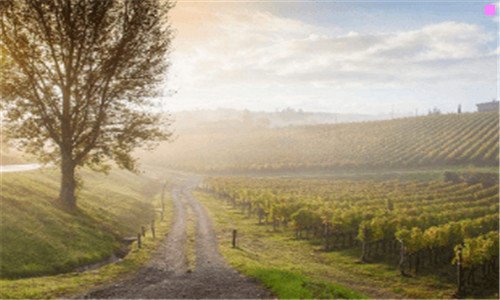 二晋江机场航班实时查询