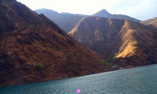 三体检柑橘客