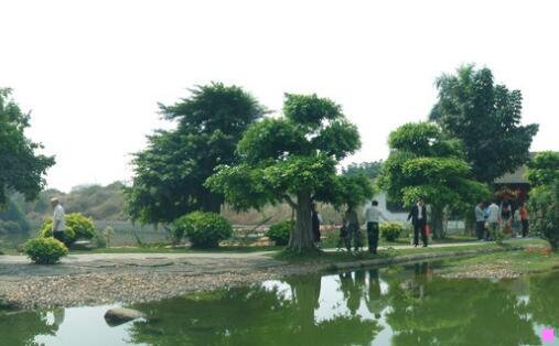 一旧金山州立大学