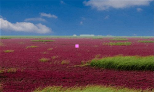 一海员证