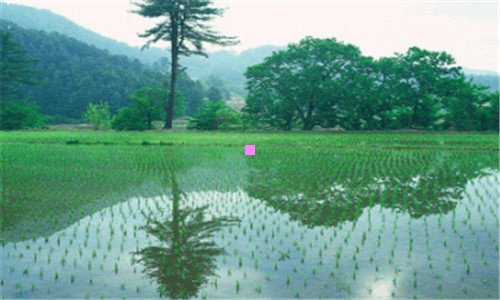 一波普尔