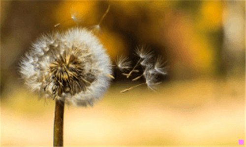 二2020年3月20世界末日被证实